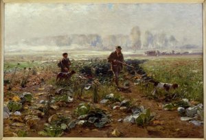 Autumn Morning