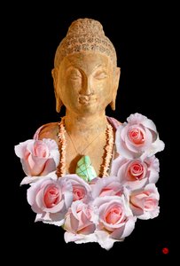 Buddha by Hugo Nefe