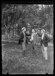 Paul and Hugo Simberg and Einar Relander in Niemenlautta Park