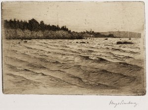 Summer Waves