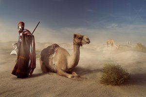 Arabian Desert Traveler