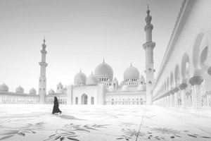 White Mosque Solitude