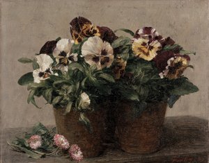 Still Life of Pansies and Daisies