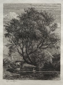 The Willow by Ignaz Gunther