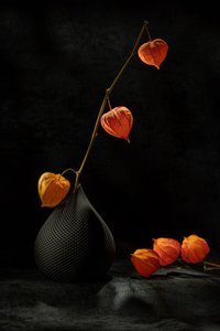 Chinese Lanterns Still Life by Igor Kopcev