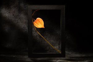Glowing Chinese Lantern by Igor Kopcev