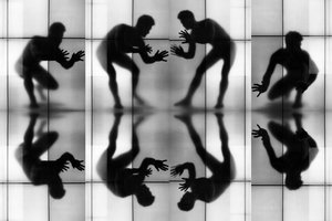 Dynamic Silhouettes Reflected by Igor Shrayer