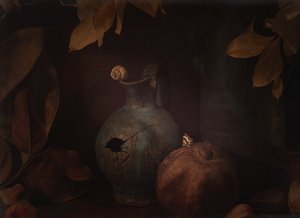 Moody Still Life Pomegranate