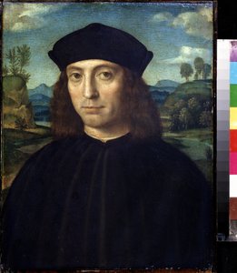 Portrait of a Man by Il  Francia