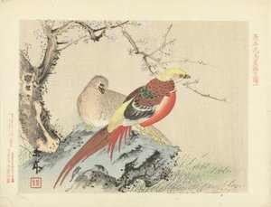 Pair of Pheasants on Rock by Imao Keinen