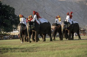 Men Playing Elephant Polo
