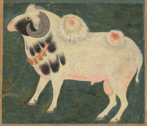A Royal Ram with a Gold Chain, c. 1585 by Indian School