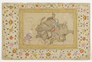 An elephant combat, with border floral arabesque