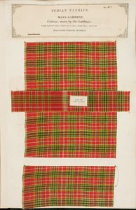 Cotton sample from Coonathoor in Madras, from The Collection of the Textile Manufacturers of India, by John Forbes Watson, published in 1866