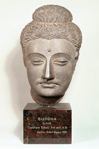 Head from a statue of the Buddha, from Gandhara, north-west India