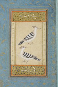 Hoopoes by Indian School