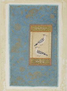 Hoopoes