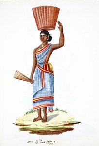 Maid by Indian School