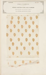 Muslin sample printed with gold flowers from Jeypore in Rajpootana States, from The Collection of the Textile Manufacturers of India, by John Forbes Watson, published in 1866 by Indian School