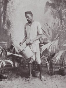 Bombay / Mumbai: Gardener by Indian photographer