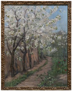 Cherry Blossom