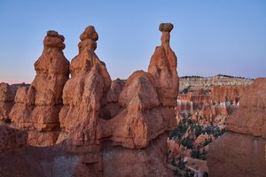 A landscape at Bryce Canyon National Park, Utah, 2020 by Ira Block