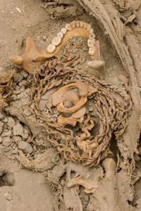 The remains of the female sacrifice