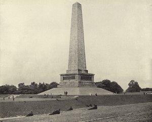 The Wellington Testimonial, Phoenix Park by Irish Photographer