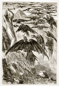 St. Patrick and the Demon Birds, from The Trias Thaumaturga, or Three Wonder-Working Saints of Ireland, by Mary Cusack (1829-99) Published c.1890s by Irish School