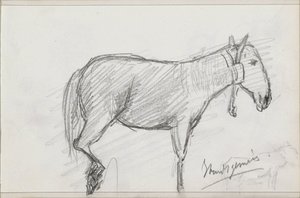Horse by Isaac Gosschalk