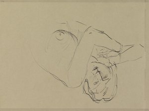 Reclining Female Nude