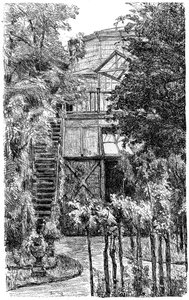 The Garden