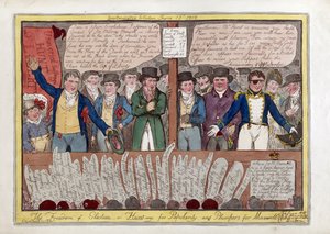 The Freedom on Election or Hunting for Popularity and Plumpers for Maxwell