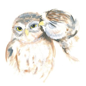 Affectionate Owls