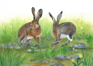 Hare Games
