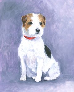 Terrier’s Poise