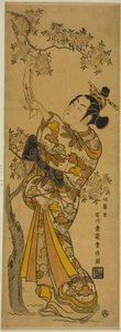 Young Woman Reading Tanzaku Tied to a Cherry Tree by Ishikawa Toyonobu