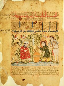 Scene from the Treatise of Theriac after Galen, 1217