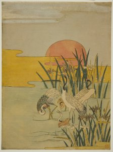 Cranes in an Iris Pond at Sunrise