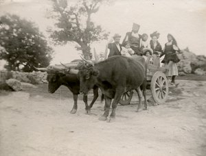 Family on Ox-Drawn Cart, Sardinia, Italy, ca 1910 by Italian Photographer