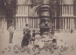 Piccioni by Italian Photographer