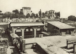 The Palatine, House of Livia