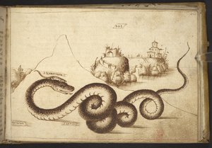 A snake (