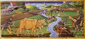 Agriculture at the Beginning of the 15th Century. Biblioteca Ricciardiana, Florence by Italian School