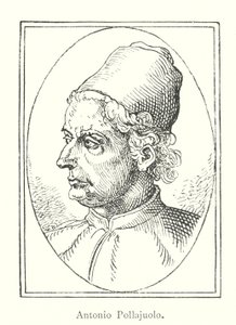 Antonio Pollaiuolo (engraving) by Italian School
