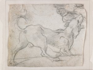 Barking Dog, Seen from Behind