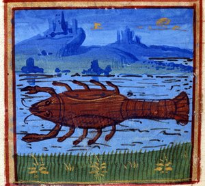 Cancer sign. Italian horoscope; mid-15th century. by Italian School