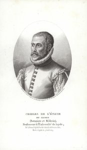 Carolus Clusius by Italian School
