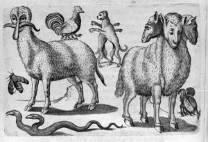 Different types of monstrous animals, with multiple bodies or an abnormal amount of limbs. Engraving from “De monstrorum natura, causis et differentiis” by Fortunio Liceti (1577-1656), Italian scientist. 1646