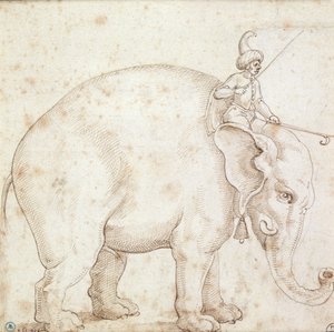 Elephant Hanno and His Mahout